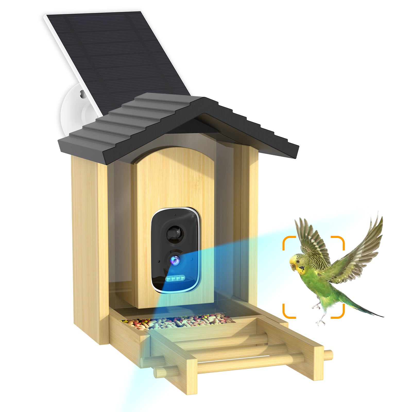 cikikwxo AI Smart Bird Feeder Camera | Solar Powered, AI Bird Identification, 2.5K HD