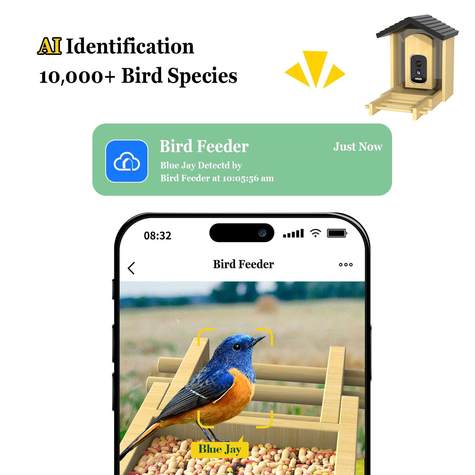 cikikwxo AI Smart Bird Feeder Camera | Solar Powered, AI Bird Identification, 2.5K HD